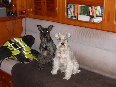 Cinco and Jupiter on sofa