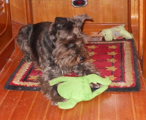 Jupiter and froggy